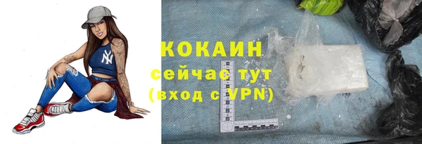 стафф Дмитров