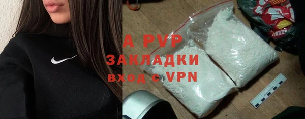 стафф Дмитров