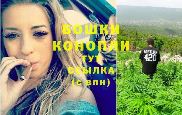 мяу мяу мука Дмитровск