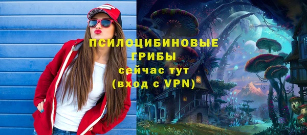 MDMA Дмитриев