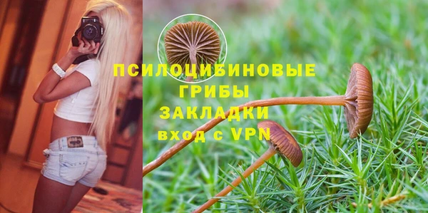 стафф Дмитров